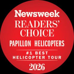 Newsweek Readers' Choice Award