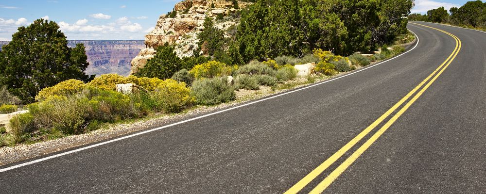 A desert road surrounded by foliage with the Grand Canyon in the distance