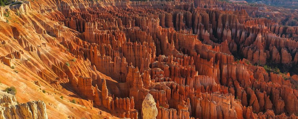 Thousands of unique stone spires located within Bryce Canyon National Park