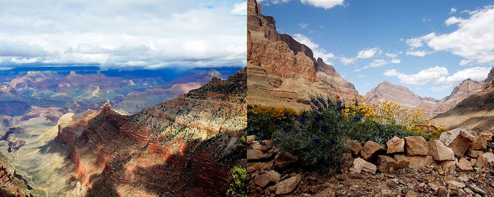 A split image of both the Grand Canyon West and the Grand Canyon South Rim as a comparison