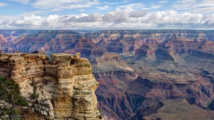 a group of guests at the Grand Canyon National Park stand at a stunning viewpoint