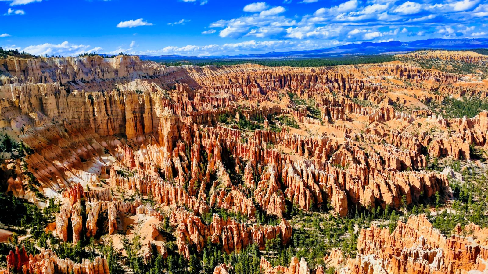 a wide shot of Bryce Canyon rock formations seen on a bright, sunny day