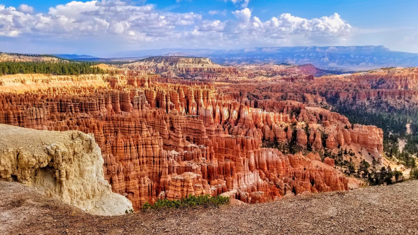 Bryce Canyon viewpoint featuring unique rock formations