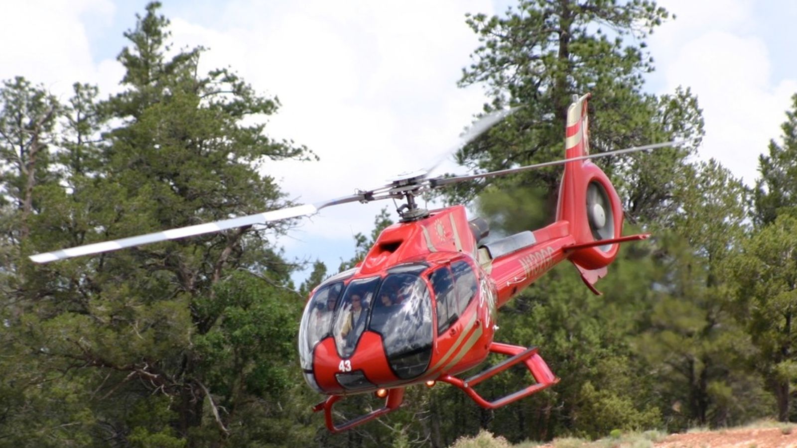 Red Eurocopter EC130 B4 taking off with forest in background