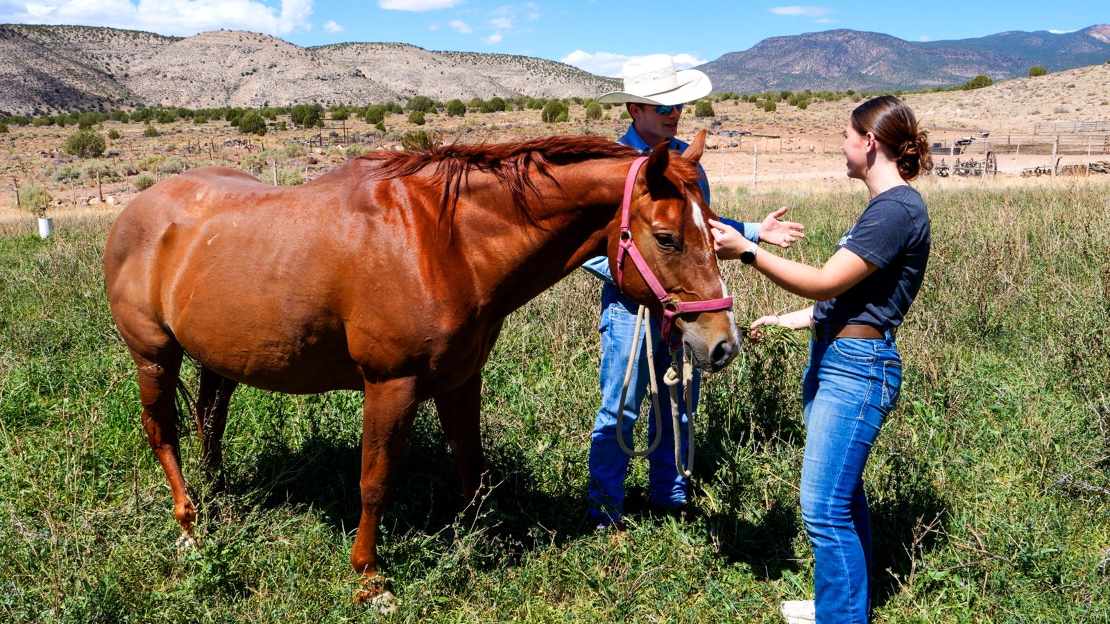 A visitor to Bar 10 Ranch meeting and petting a horse