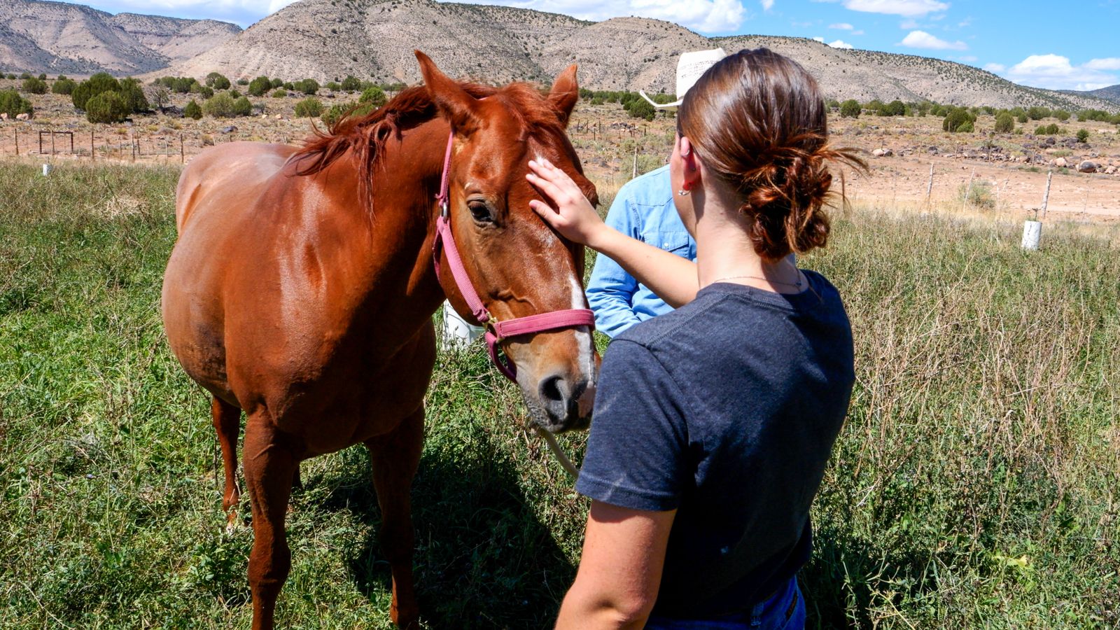 A meet and greet with a horse at Bar 10 Ranch