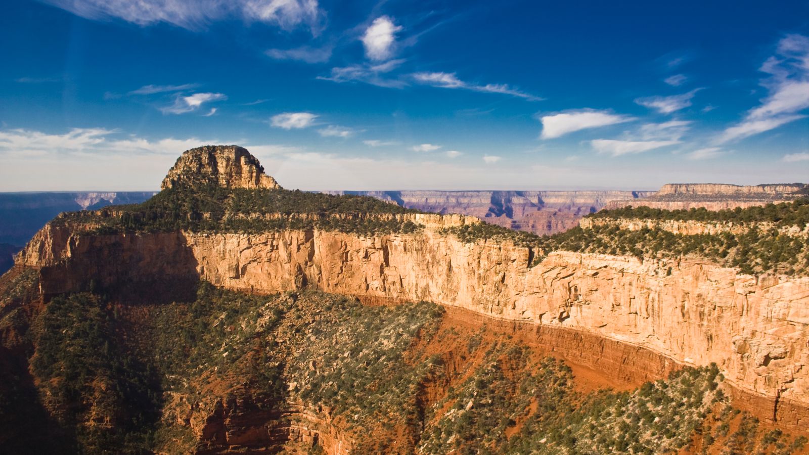 a grand canyon cliff sprinkled with lush forestry on its surface