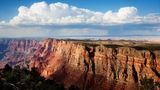 A brightly light wall of the Grand Canyon featuring green forestry at the top with a clear blue sky above.