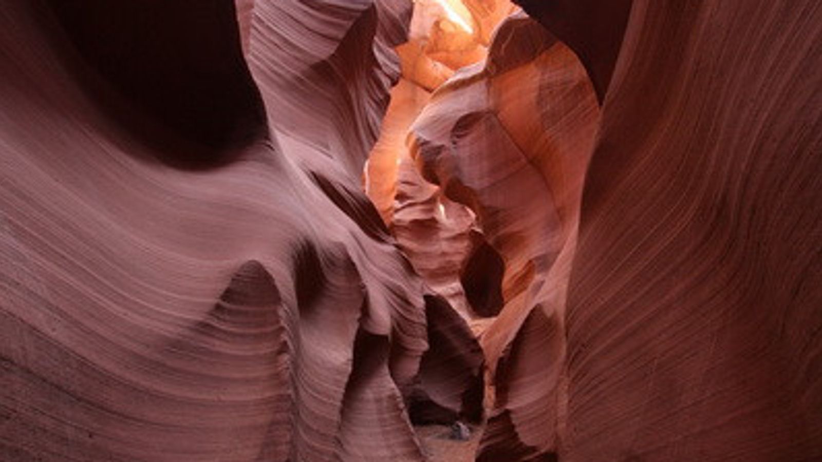 antelope canyon seen during a private tour with papillon