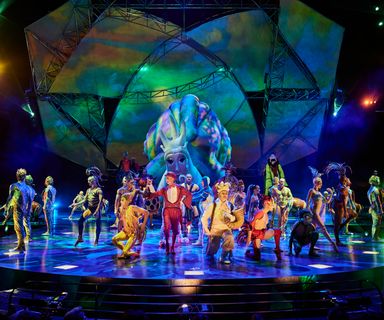 A group of Cirque du Soleil Myster performers gather onstage after a show