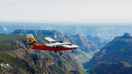 a Grand Canyon airplane tour flies over the lush forestry of the South Rim