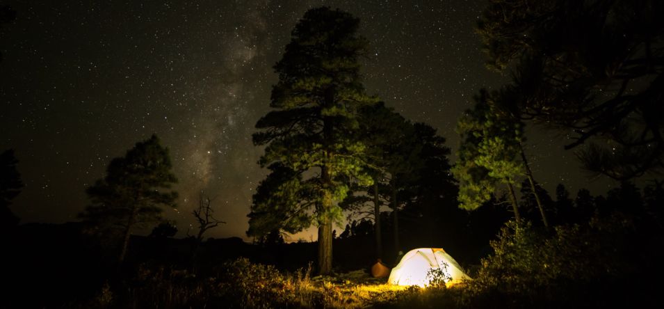 nighttime shot of a camping tent at grand canyon national park