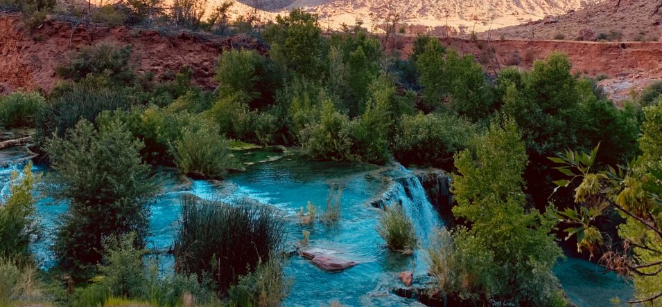 A crystal blue river and waterfall surrounded by lush greenery at Havasu Falls