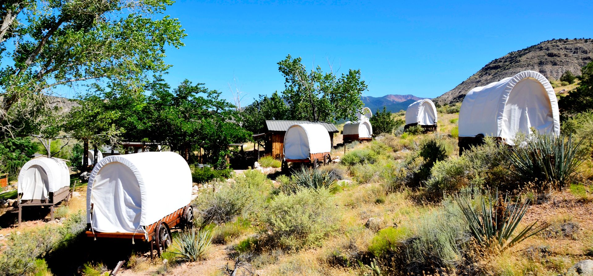 Several covered wagons across a desert landscape with a bright blue sky in the background