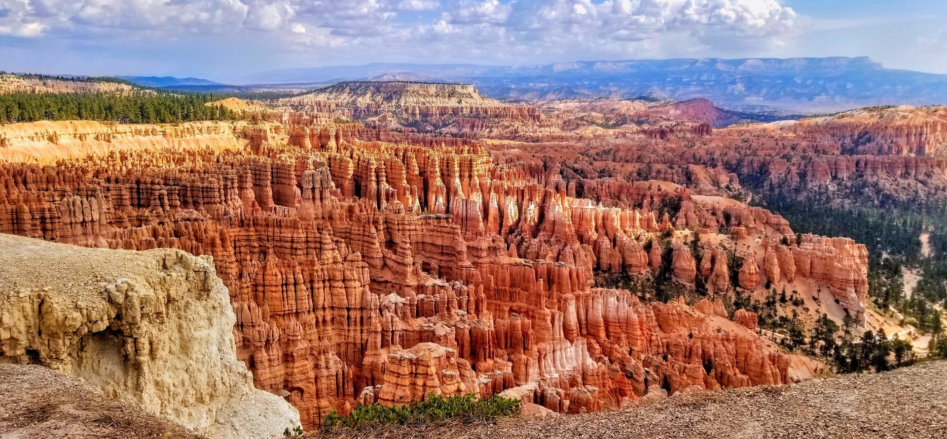 A region of Bryce Canyon National Park featuring colossal rippling rock formations and forestry