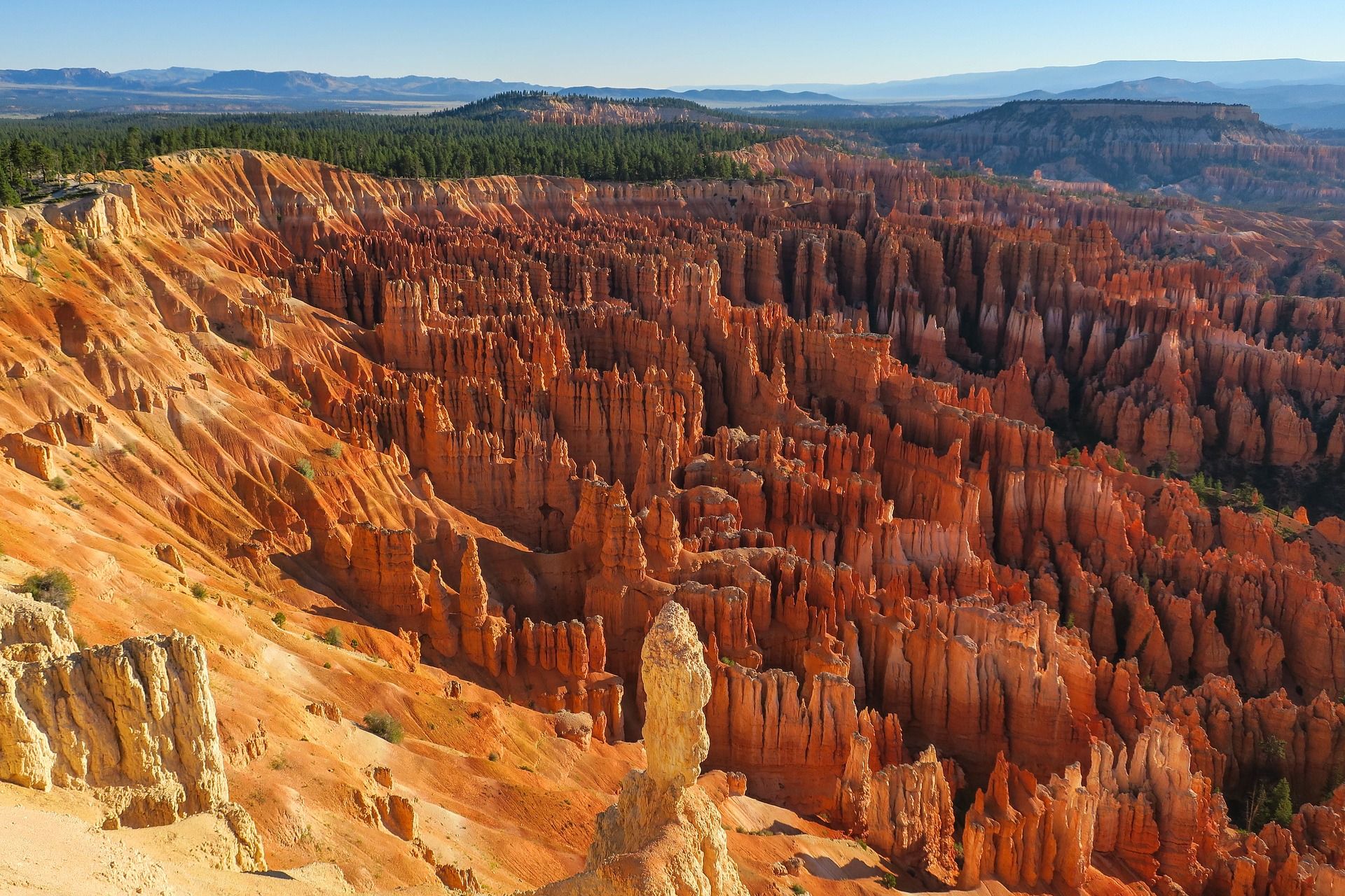 Colorful rock formations known as hoodoos located within Bryce Canyon National Park