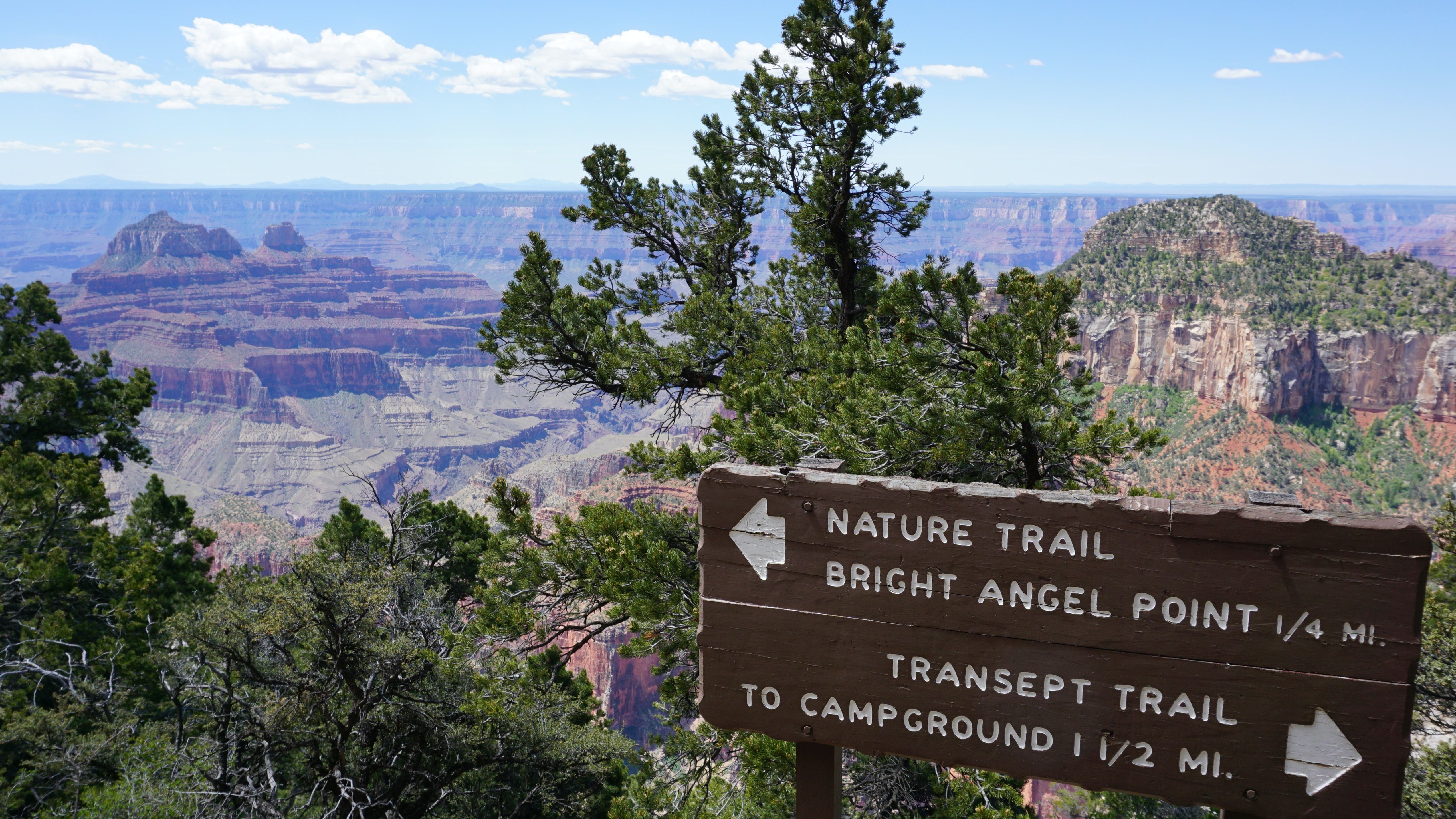 A wooden sign designates directions for various trails located at the Grand Canyon North Rim